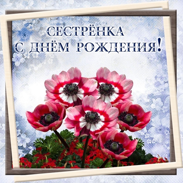 Душевные до слез слова сестре с Днем Рождения