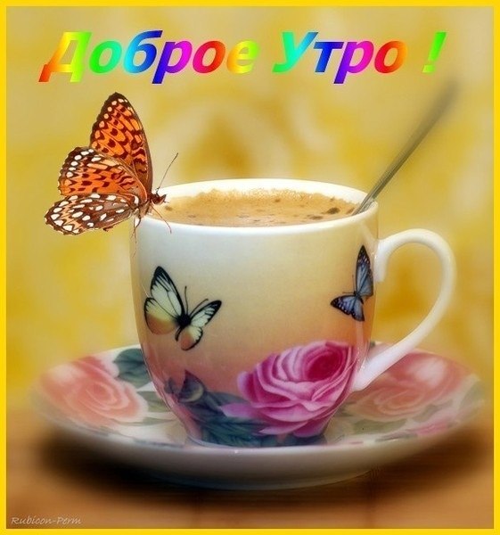 Красивые слова доброго утра и хорошего дня женщине
