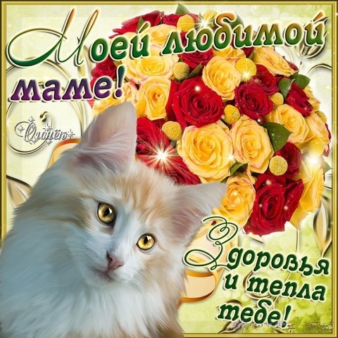 Оригинальные слова поздравления маме с Днем Рождения
